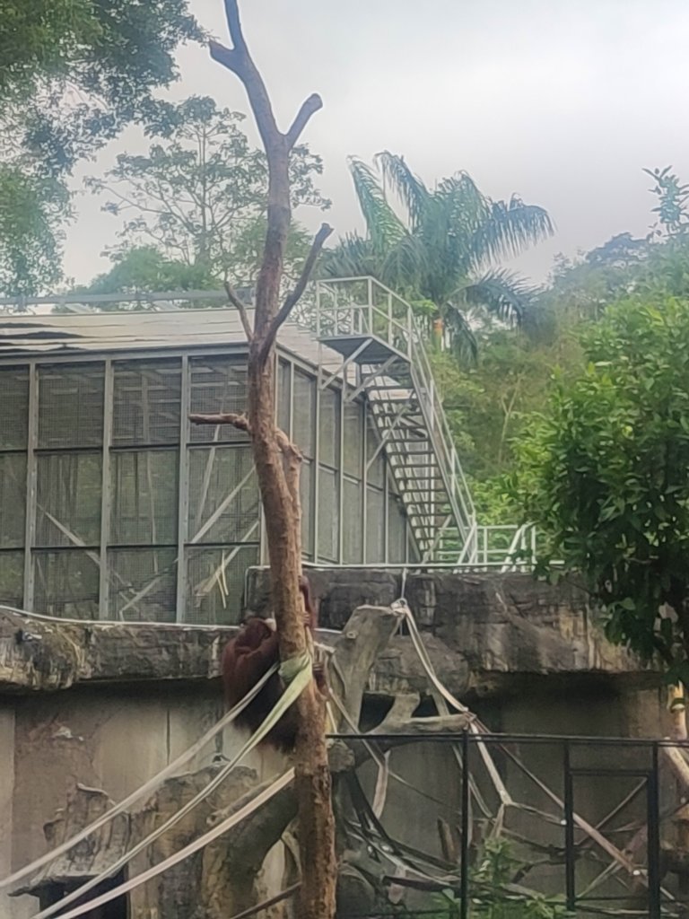 台北動物園_2664049