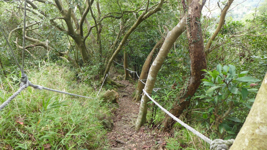 凌雲禪寺 -尖山-大峭壁-駱駝嶺-硬漢嶺_25991