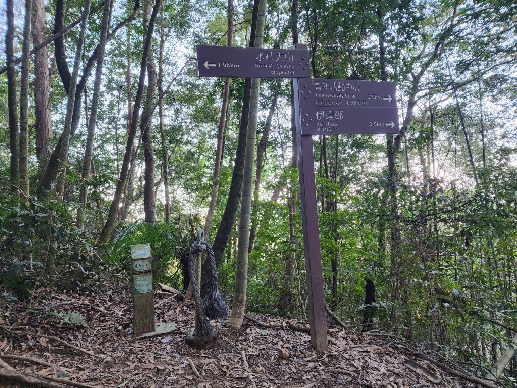 20250216水社大山潭南線_2746116