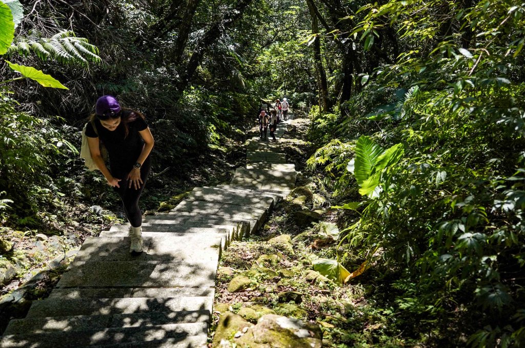 五分山｜小百岳_2915431