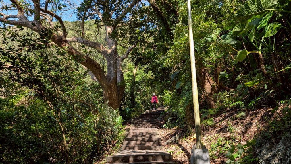 硬漢嶺步道(觀音山)_2935142