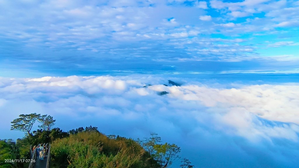 阿里山 #隙頂二延平 #頂石棹 #觀音圈 #雲海 #琉璃光 #雲瀑 #霧虹 11/17_2649786