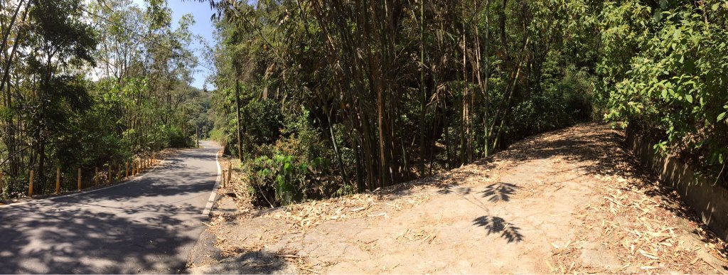 20220305高雄兔和山_1633574