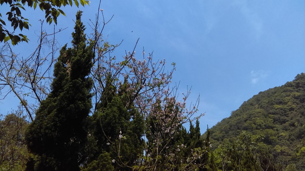 【臺北親山拓印趣】天母山天母古道白雲瀑布_918706