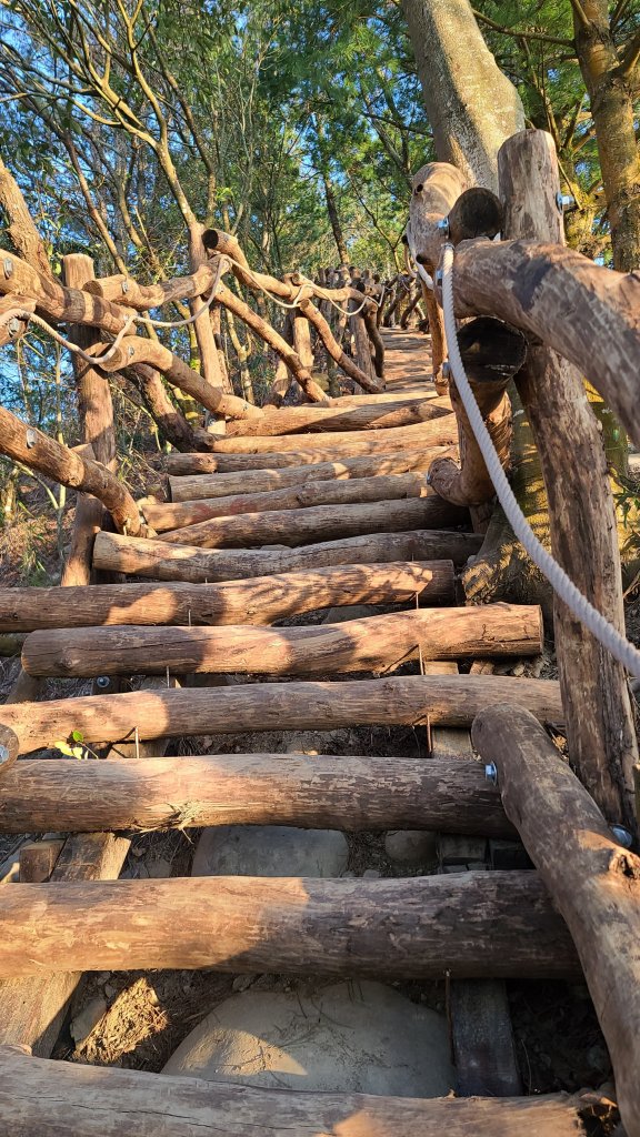 2022-0311 大坑4號步道往返_1637250