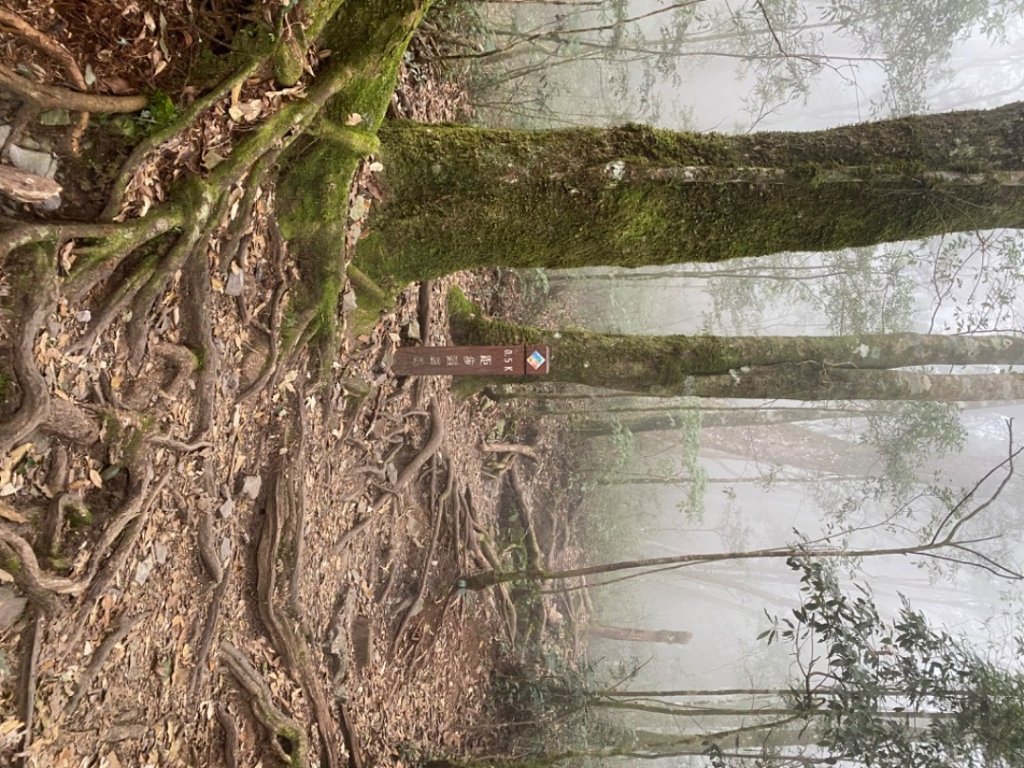 1120210馬崙山_2652007