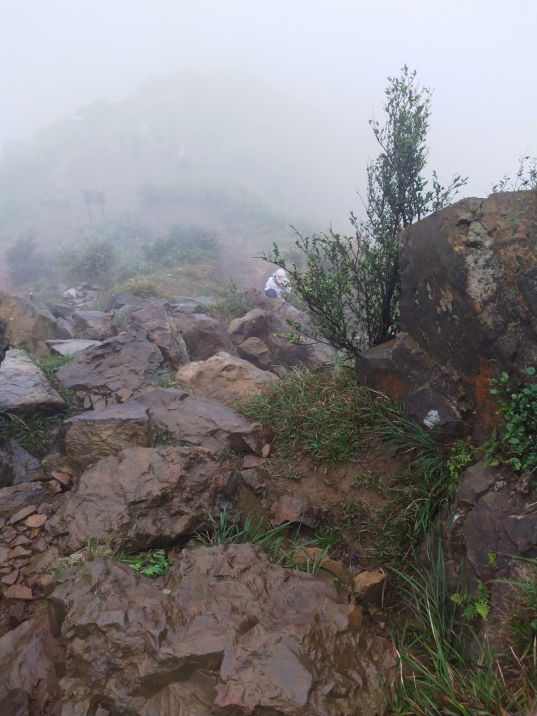 無耳茶壺山封面圖