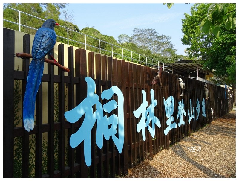 霧峰/桐林里登山步道封面圖