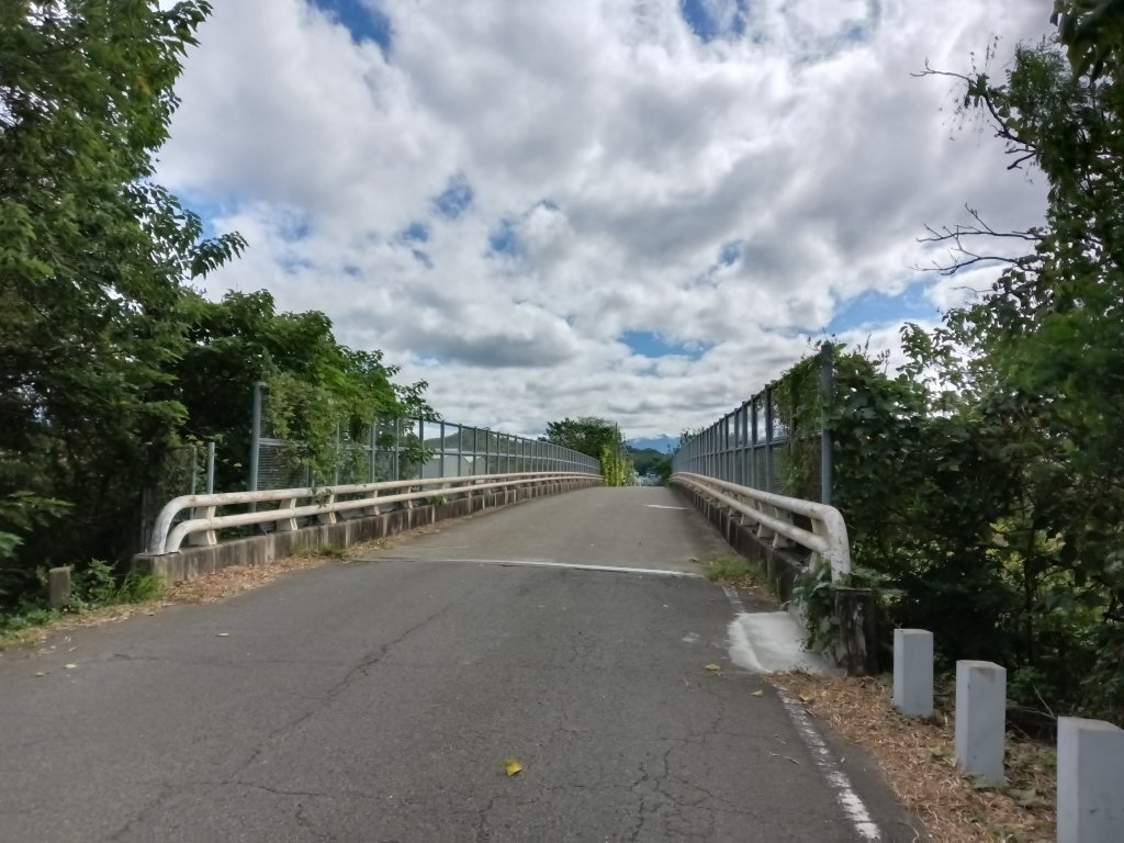 頭份鎮鹿廚坑步道+鹿廚坑山_2937985