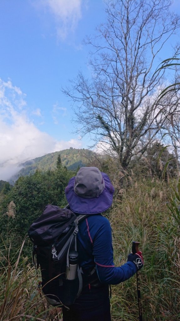 水漾森林、鹿屈山O走_2461739