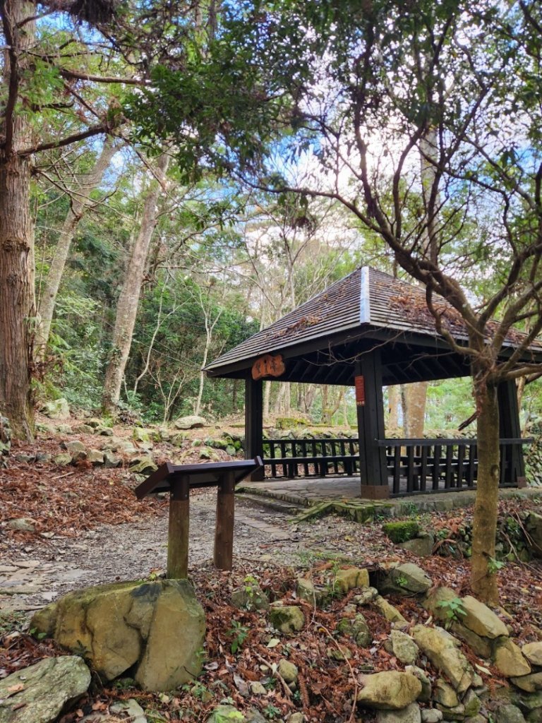 【中級山】谷關七雄八仙山_2745031