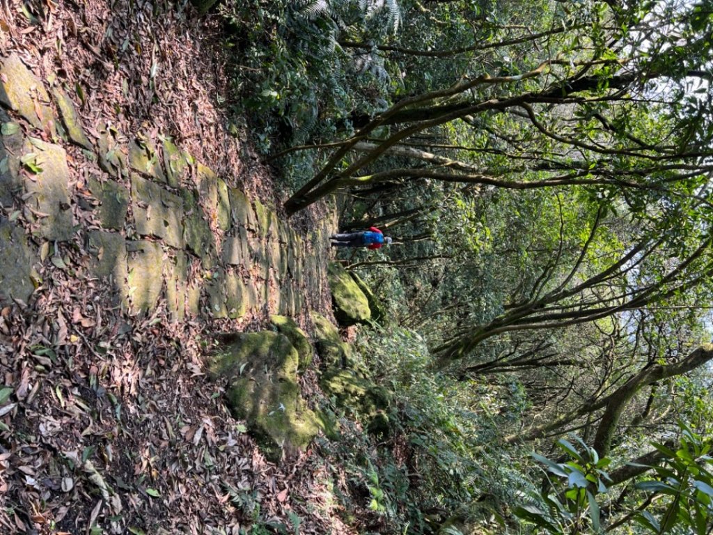 走遍陽明山尋寶任務/環陽明山人車分道陽金、小油坑、冷水坑、中山樓_2071136