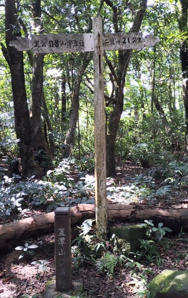 屈尺永福路…四份子產業道路…直潭山…原路折返_2591253