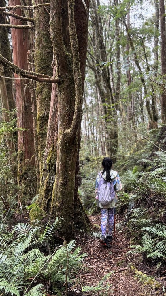 20250913小百岳三星山_2885212