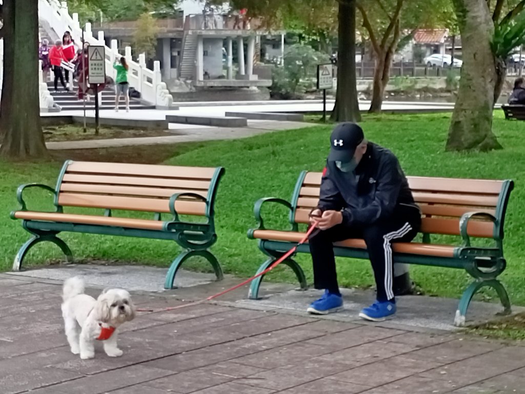 大湖公園 (防災公園)、湖山六號公園【走路趣尋寶】_1902727