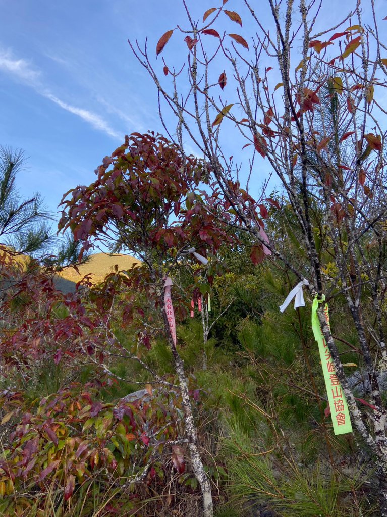 羅馬縱走_2038473