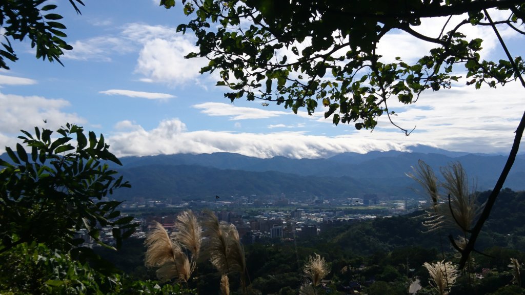 大同山-青龍嶺-大棟山_482169