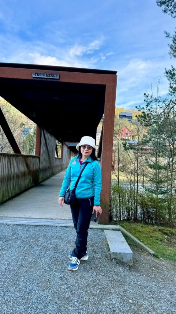 挪威🇳🇴Voss峽谷秘境_2810287