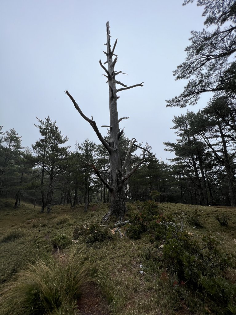 【南二段】_1994960