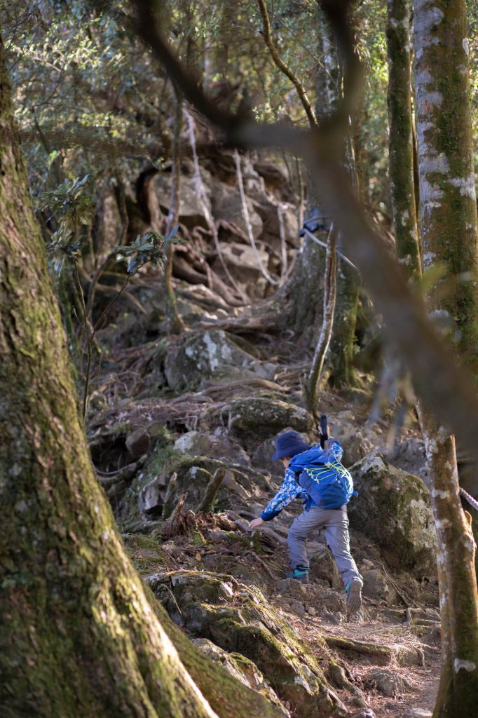 百變的夢幻山域 - 稍來南峰 & 稍來山_1483767