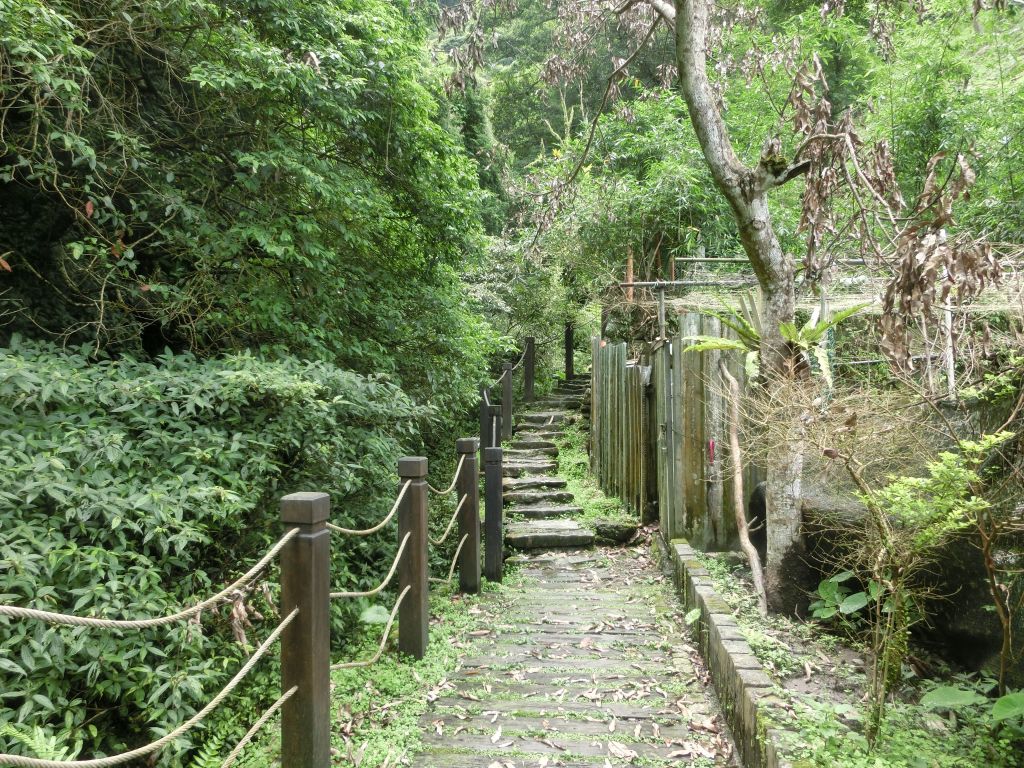 銀河洞瀑布．待老坑山．樟湖步道_127953