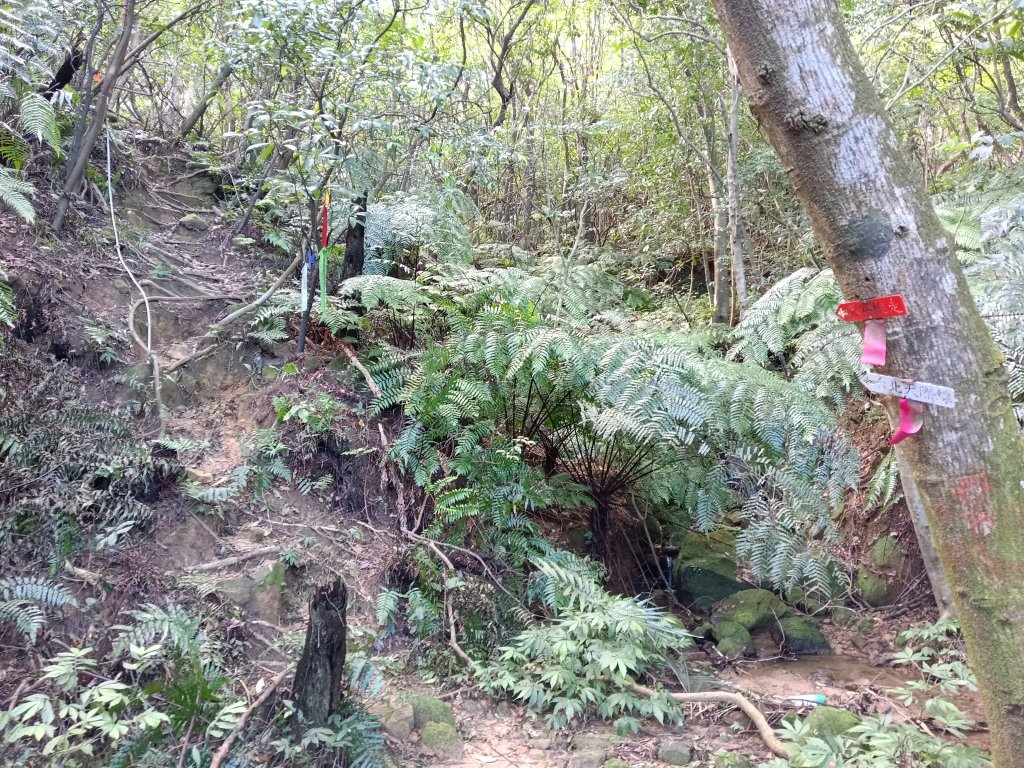 基隆市/萬里區界寮縱走之三界山+三界山西峰+開眼尖山+七分寮山+瑪七產道山泉水接水亭_2979533