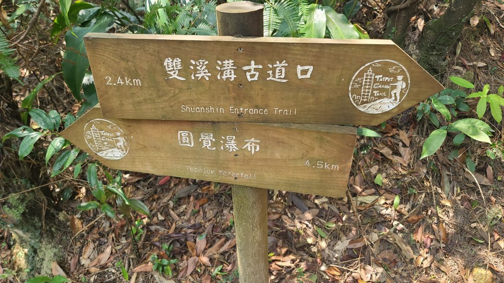 20024-0329臺北大縱走第四段：風櫃口站牌至大湖捷運站_2467530