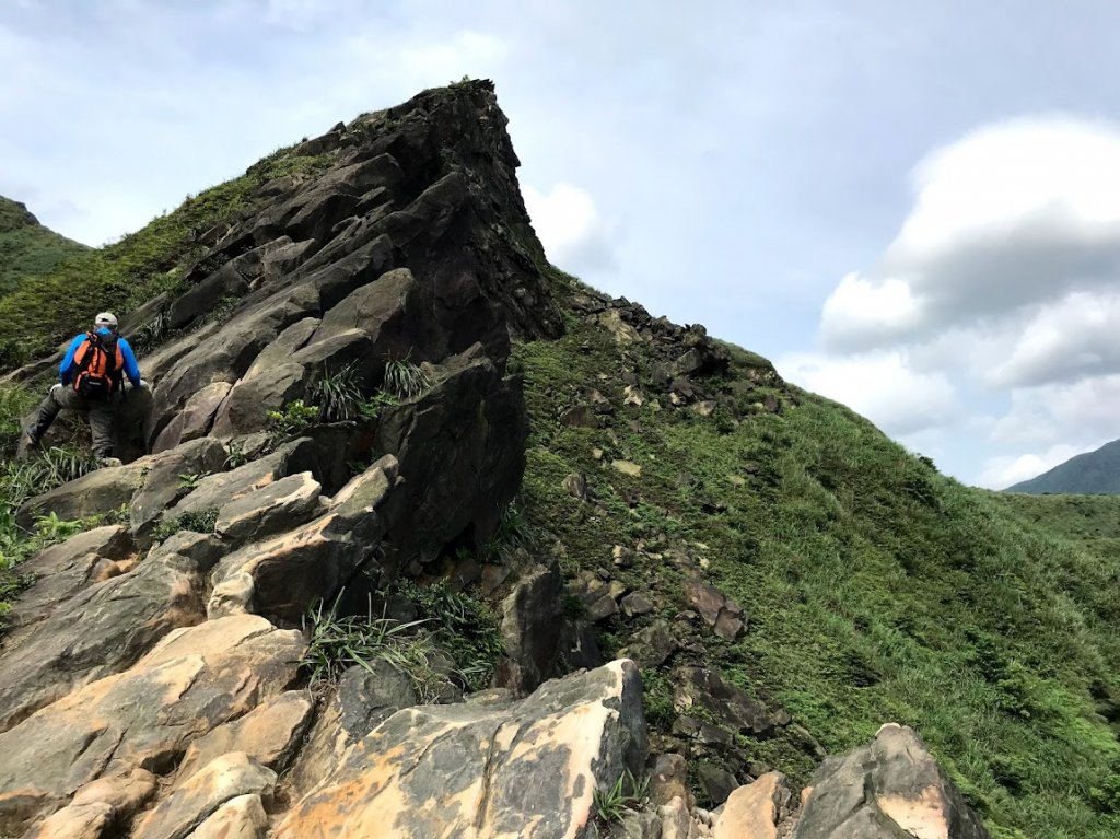 黃金十稜之茶壺山鋸齒稜劍龍稜20190505封面圖