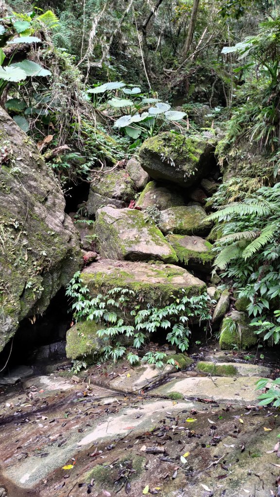 清水大山_2113559