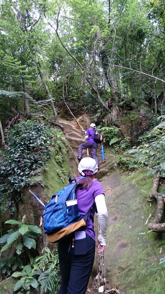 五寮尖登山步道_41060