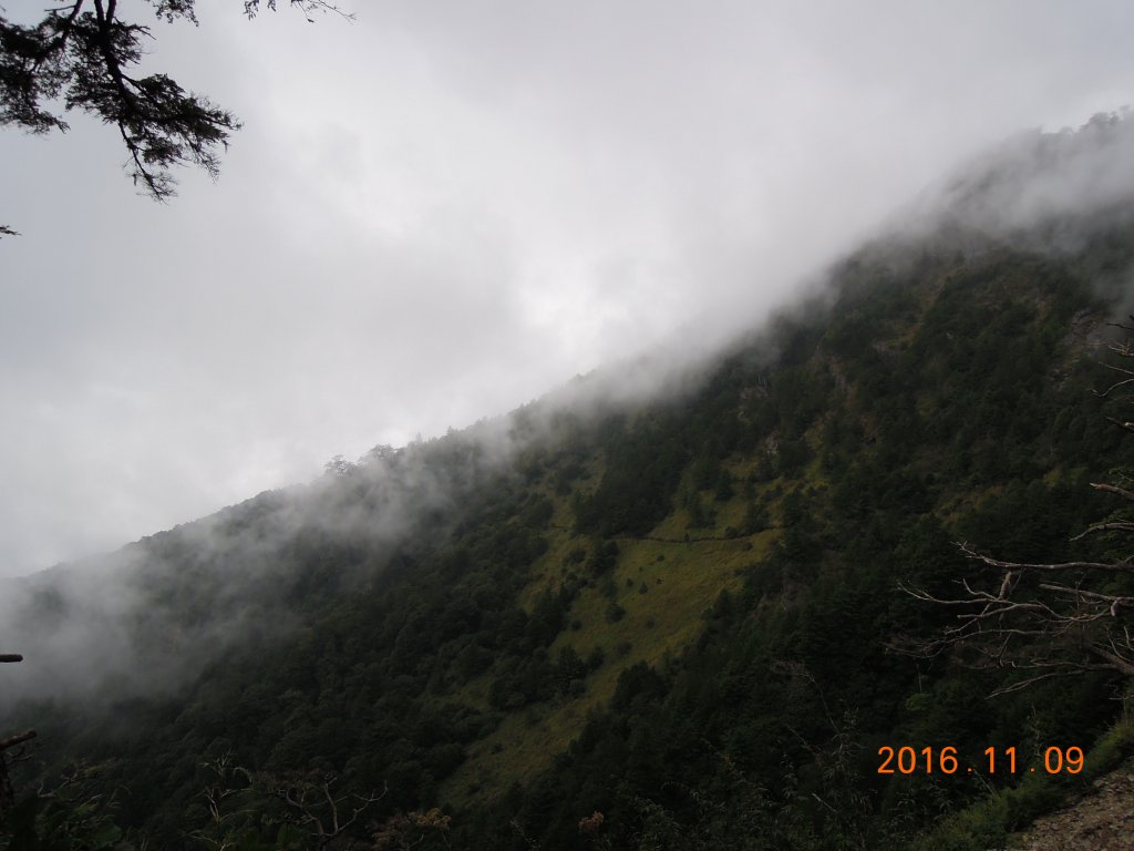 20161109-10_奇萊南華_873720