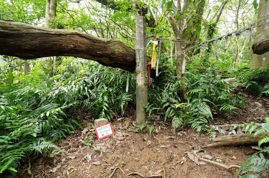 臺北 文山 指南山、猴山岳、魚衡山、大前坑山、猴山坑山、祥光寺後山、金頭山_2775016