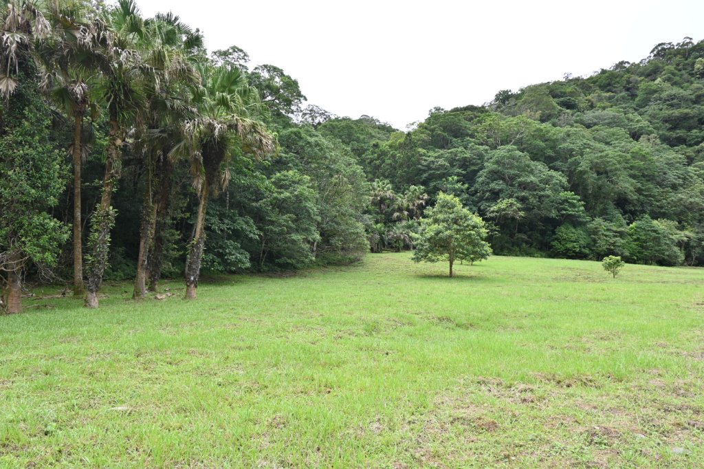 2025_0712 福山植物園_2836192