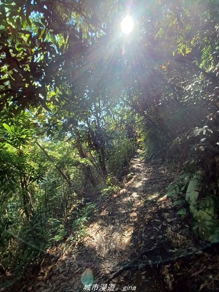 【台中和平】2022「谷關七雄，慢旅台中」登山活動認證。七雄中唯一有瀑布景觀~ 唐麻丹山x蝴蝶谷瀑布_1775954