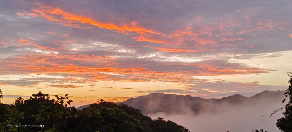 永遠看不膩的二格山藍天綠地雲海流瀑+日出火燒雲8/12&13陽明山流星雨夜空_2245517