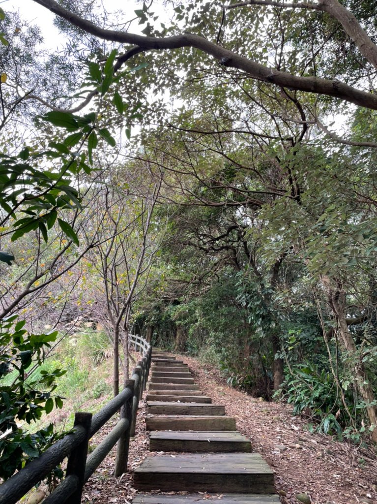 [桃園龜山]楓樹坑步道_1200565