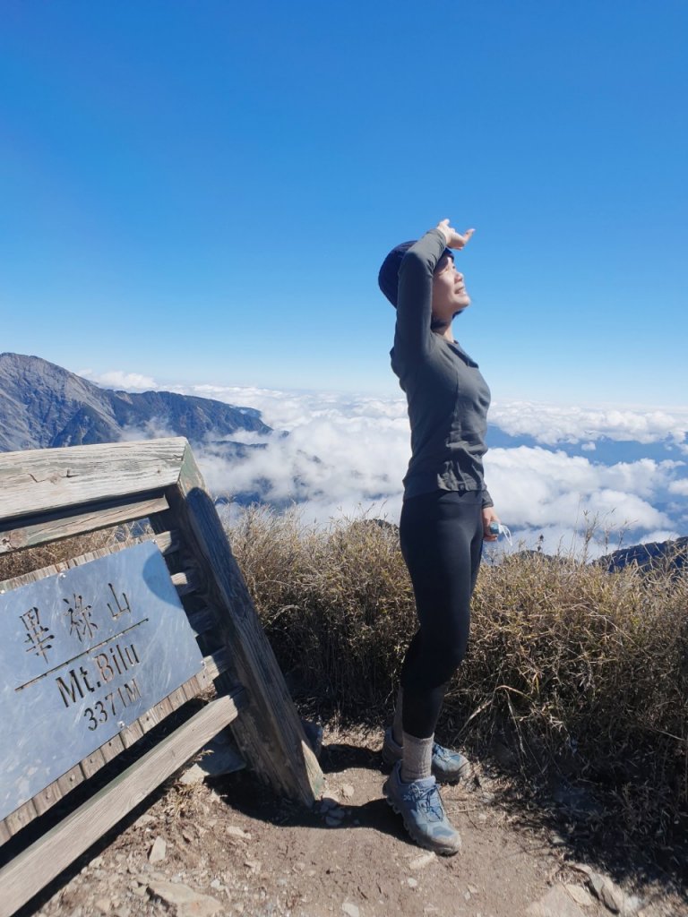 高繞畢祿山封面圖