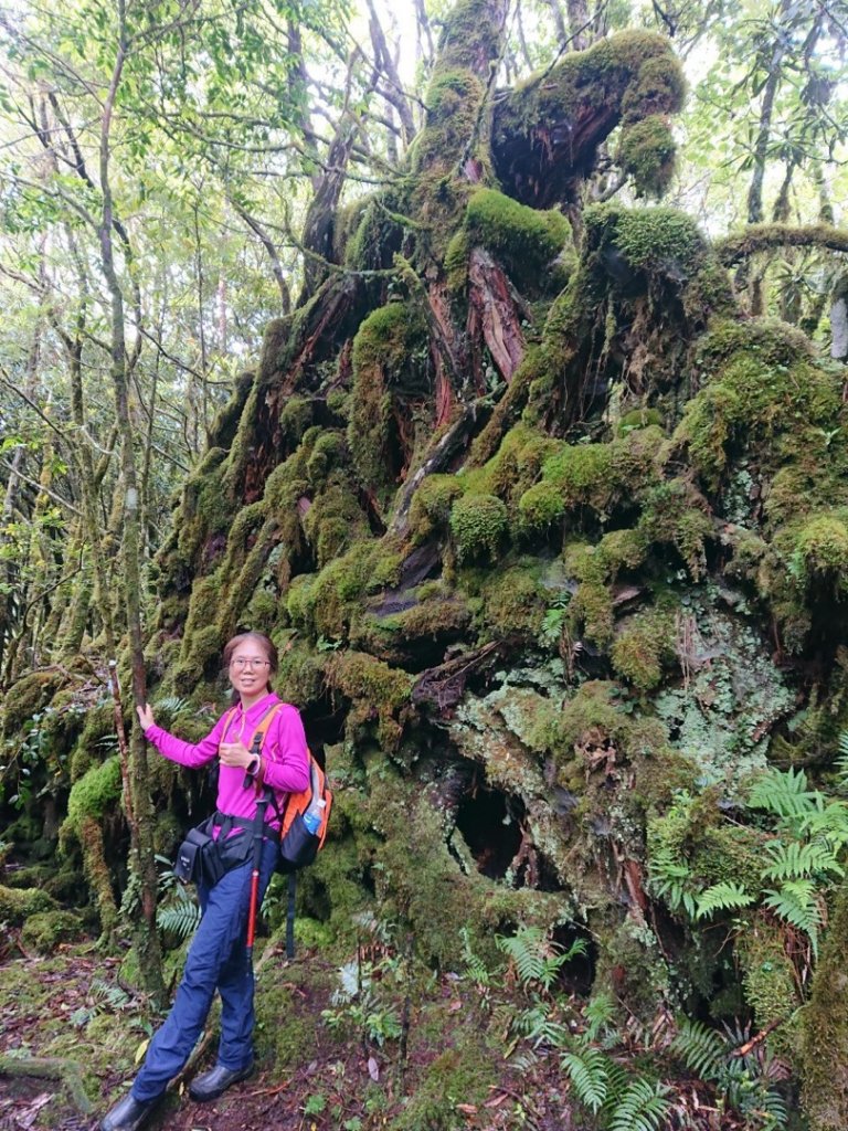 福巴越嶺古道上拉拉山（達觀山）_1748372
