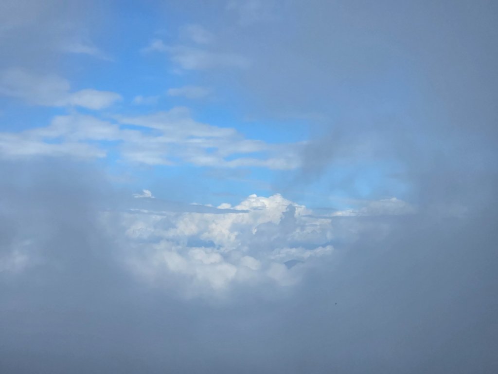溪頭五連峰O繞（大崙頭／樟空倫／貓冬望／志騰／竹崙）_2652374