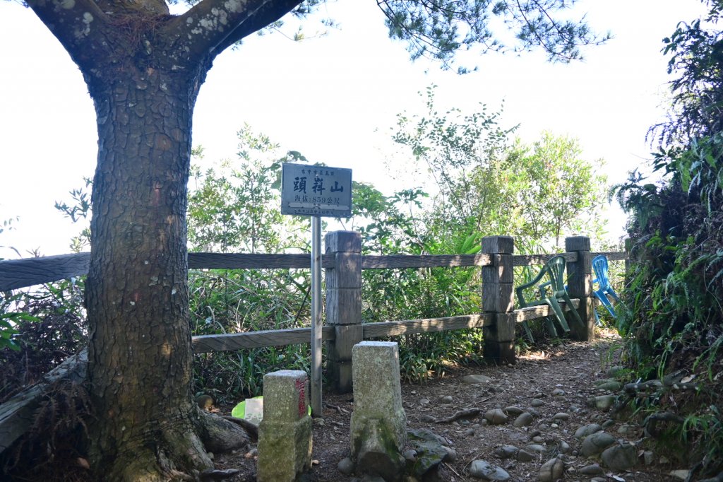 110.11.19 大坑五號、五之一號步道_1519327