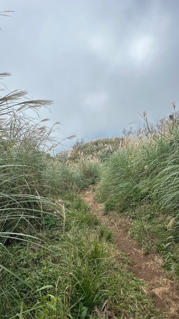 大屯山五連峰含面天山_2934606