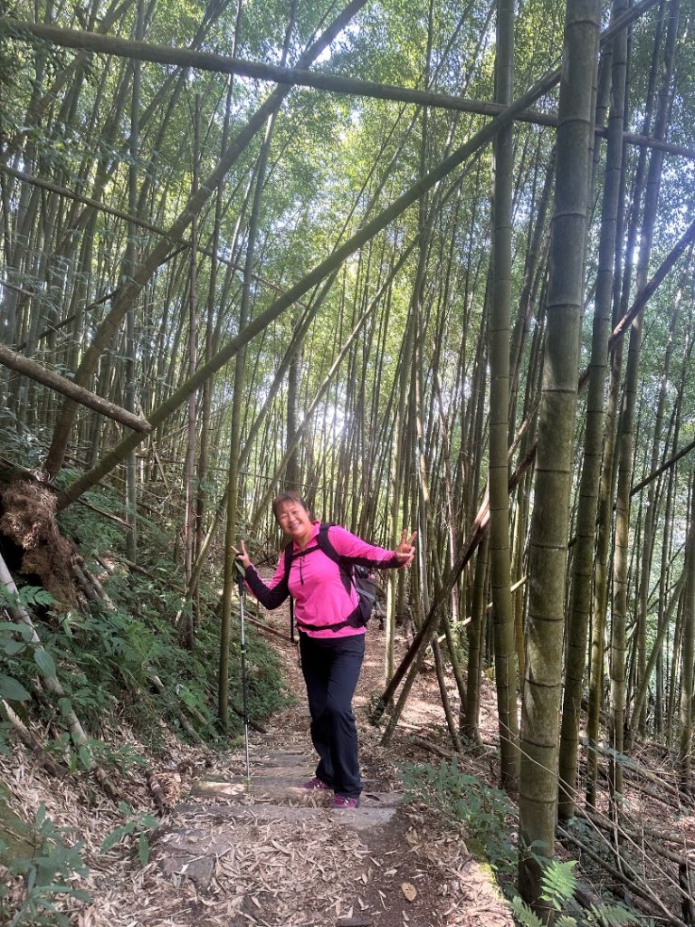 嘉南雲峰、九穹神木_3014472