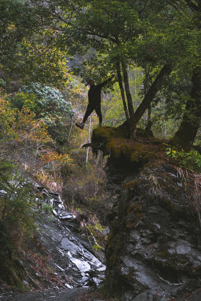 Mt.Dabajian -白霧大霸_914546