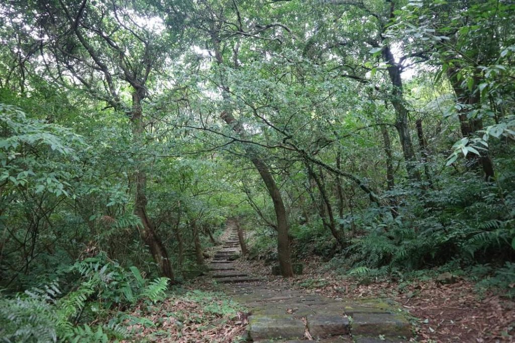〔陽明山 〕面天山 向天山 向天池 二子坪步道。火山口湖 獨特生物蚌蟲 向天蝦（豐年蝦）_2235396