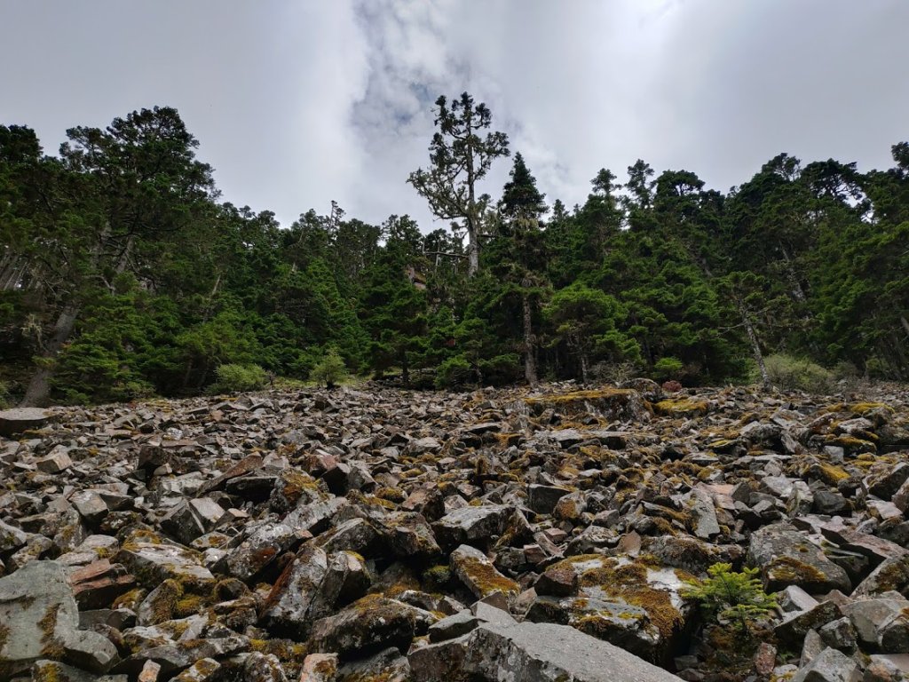 雪山主東峰 翠池 北稜角 凱蘭特崑山_1055373