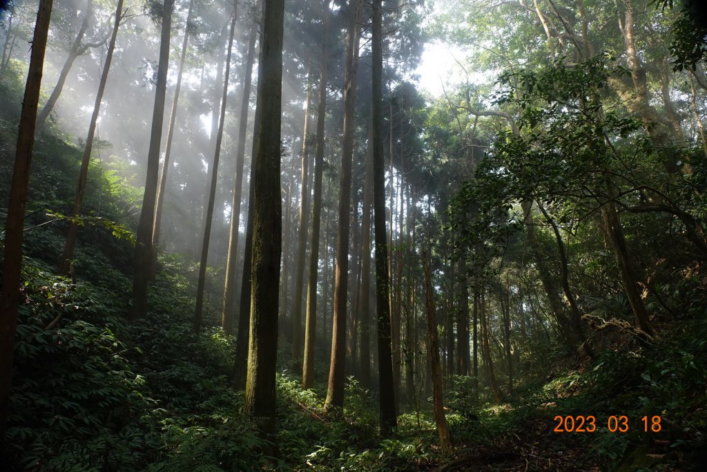 新竹 關西 馬武督山、蓮包山_2076595