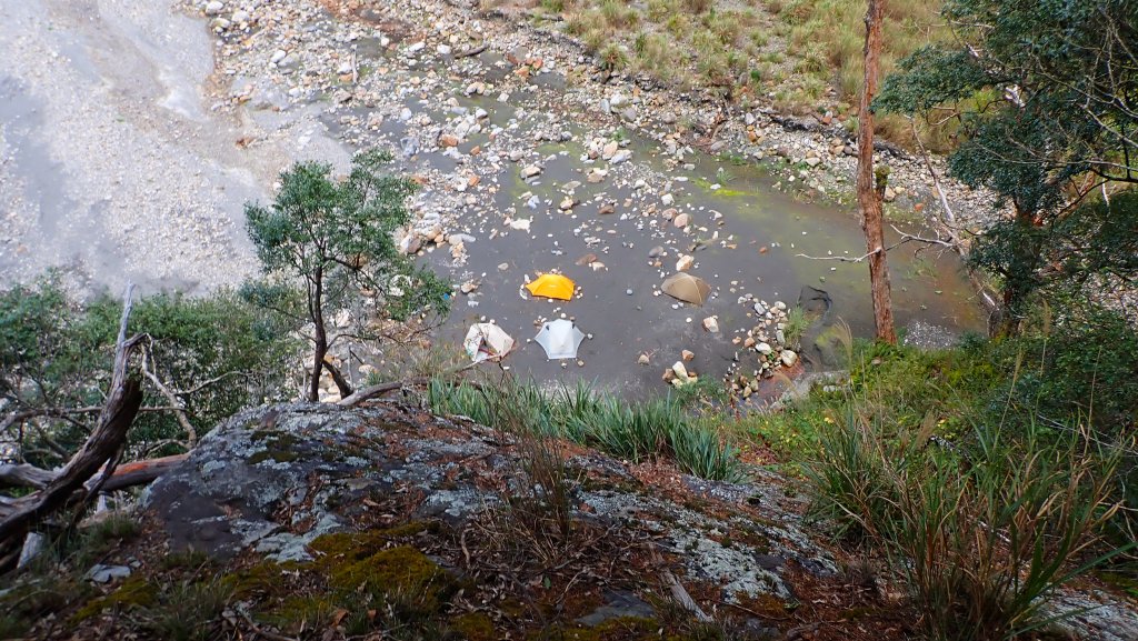 台灣最高如神般存在的大安溪倚天劍巨木探訪_2747950