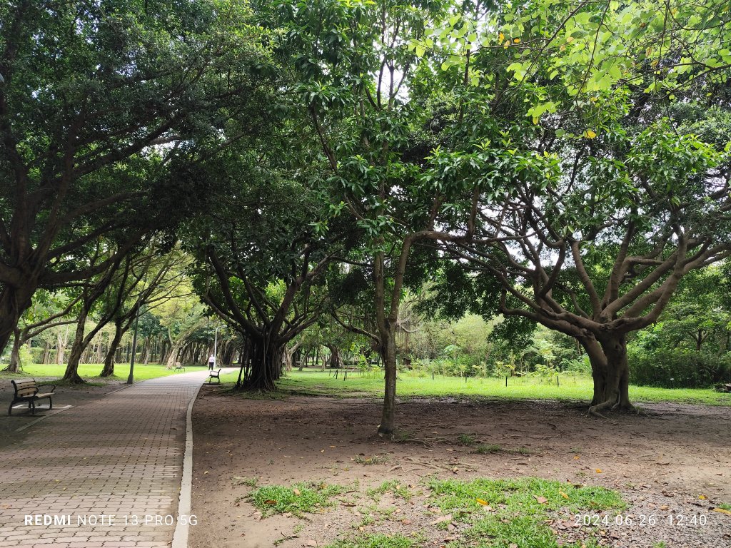 大安森林公園【走路趣尋寶】【臺北健走趣】_2536180