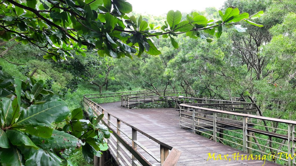 《台中》雙園連走｜東大公園連走都會公園20231007_2305916