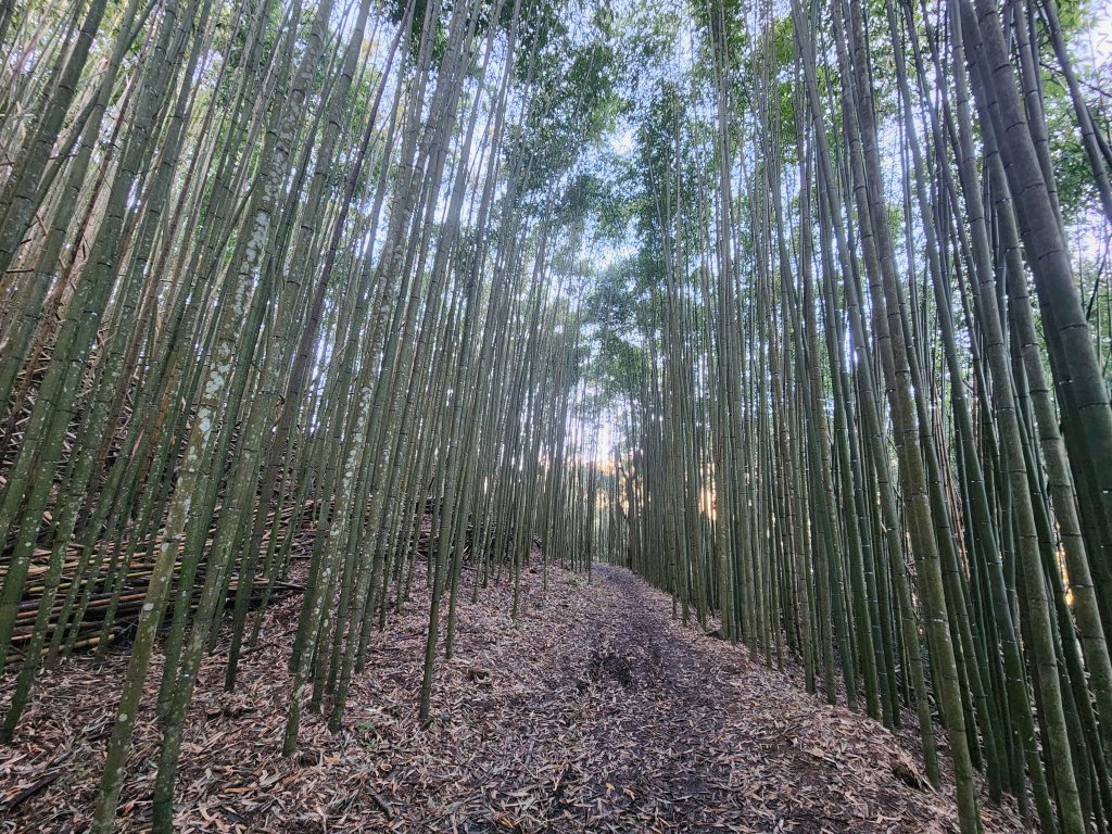 20241124布奴加里山封面圖